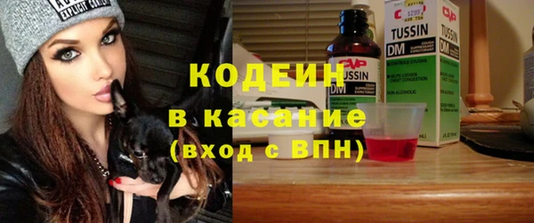таблы Бородино