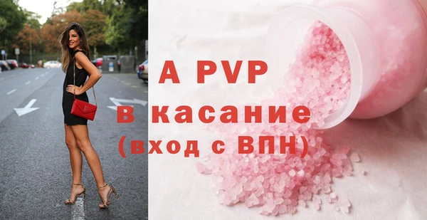 таблы Бородино