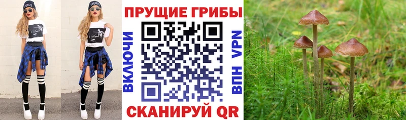 Галлюциногенные грибы Psilocybe наркотики Иланский